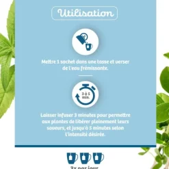 Bio Nutrisanté infusion Sommeil sachets