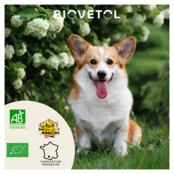 Biovetol bouchées Alt Vers Chien bio