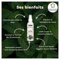 Biovetol Lotion dentaire chien et chat