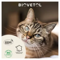 Biovetol Lotion Destruct'urine chat et chaton
