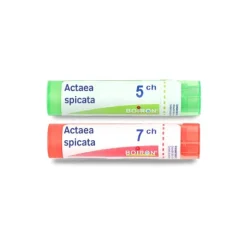 Boiron Actaea spicata granules