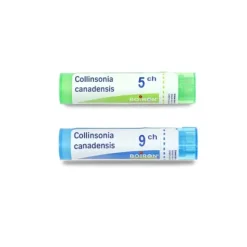 Boiron Collinsonia Canadensis granules