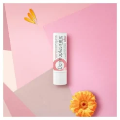 Boiron Dermoplasmine stick lèvres