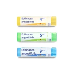 Boiron Echinacea angustifolia granules
