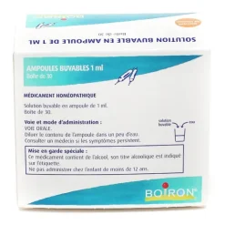 Boiron Hematite 8 DH ampoules buvables