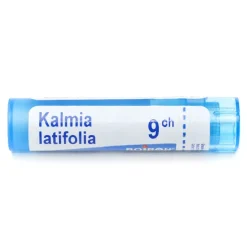 Boiron Kalmia latifolia granules