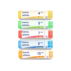 Boiron Kalmia latifolia granules