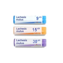 Boiron Lachesis mutus dose