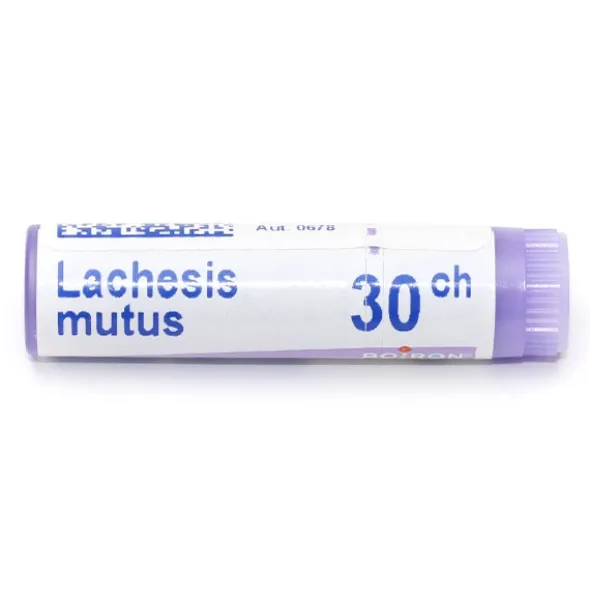 Boiron Lachesis mutus dose