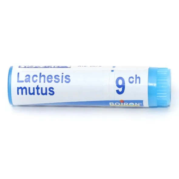 Boiron Lachesis mutus dose