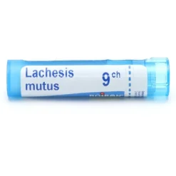 Boiron Lachesis mutus granules