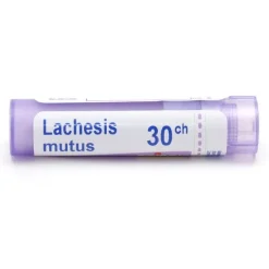 Boiron Lachesis mutus granules