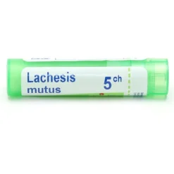 Boiron Lachesis mutus granules