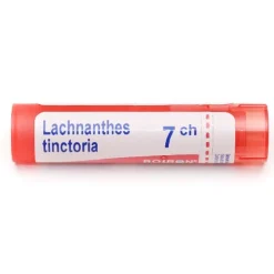 Boiron Lachnanthes tinctoria granules