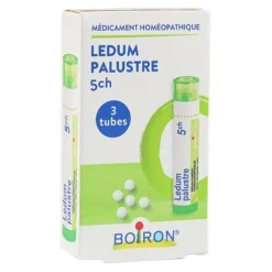 Boiron Ledum palustre 5CH granules pack de 3