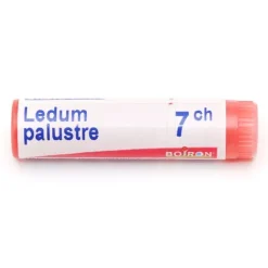 Boiron Ledum palustre dose