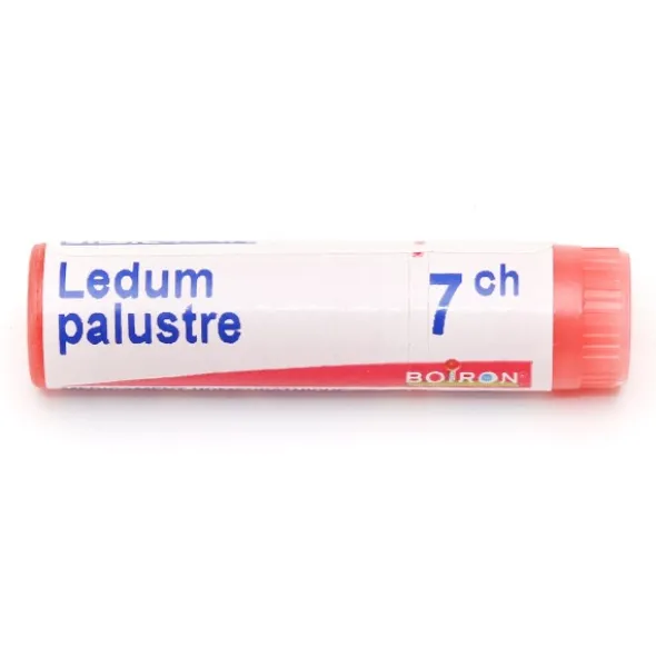 Boiron Ledum palustre dose