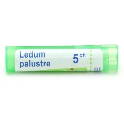 Boiron Ledum palustre granules