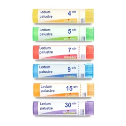 Boiron Ledum palustre granules