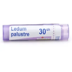 Boiron Ledum palustre granules