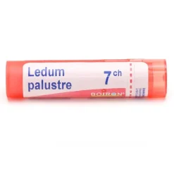 Boiron Ledum palustre granules