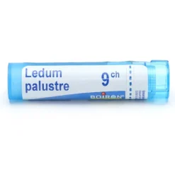 Boiron Ledum palustre granules