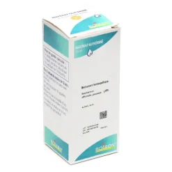 Boiron macérat glycériné Rosmarinus Officinalis jeunes pousses 1 DH