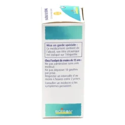Boiron macérat glycériné Rosmarinus Officinalis jeunes pousses 1 DH