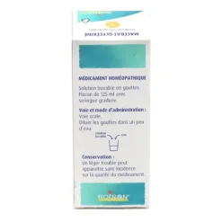 Boiron macérat glycériné Rosmarinus Officinalis jeunes pousses 1 DH
