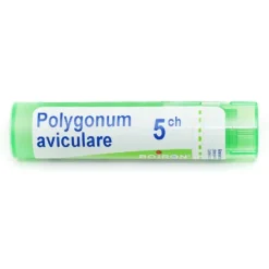 Boiron Polygonum aviculare granules