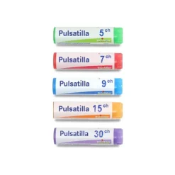 Boiron Pulsatilla dose
