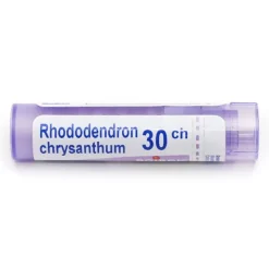 Boiron Rhododendron chrysanthum 30CH granules