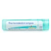 Boiron Rhus Toxicodendron composé granules