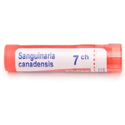 Boiron Sanguinaria canadensis granules