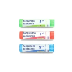 Boiron Sanguinaria canadensis granules