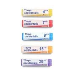 Boiron Thuya occidentalis dose