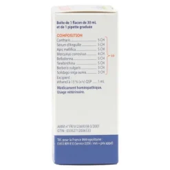 Boiron Uricystyl Solution buvable