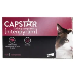 Capstar Chat comprimé anti puce