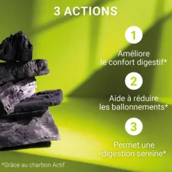 Carbophos Charbon végétal comprimés à croquer