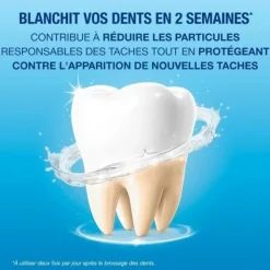 CB12 White bain de bouche