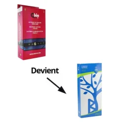 Ceinture abdominale de maintien au lit rembourrée
