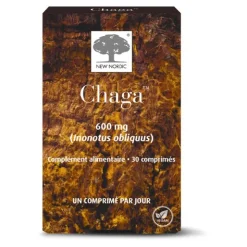 Chaga 600 mg comprimés