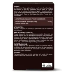 Chaga 600 mg comprimés