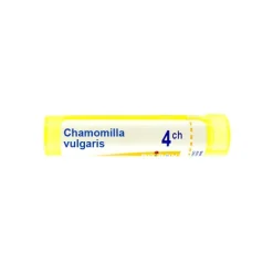 Chamomilla vulgaris granules homéopathie Boiron