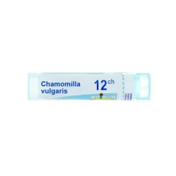 Chamomilla vulgaris granules homéopathie Boiron