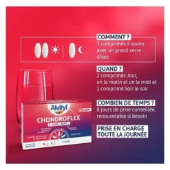 ChondroFlex jour Nuit comprimés