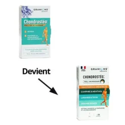 Chondrostéo+ Roll-on de massage