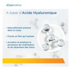 Cicatridine suppositoires