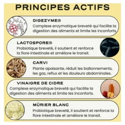 Circles 5 Day Digest+ gélule
