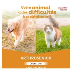 Clément Thékan Arthrosenior chien et chat comprimés